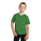 Port & Company® Colors Fan Favorite™ Youth T-Shirt
